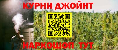 гидра Татарск